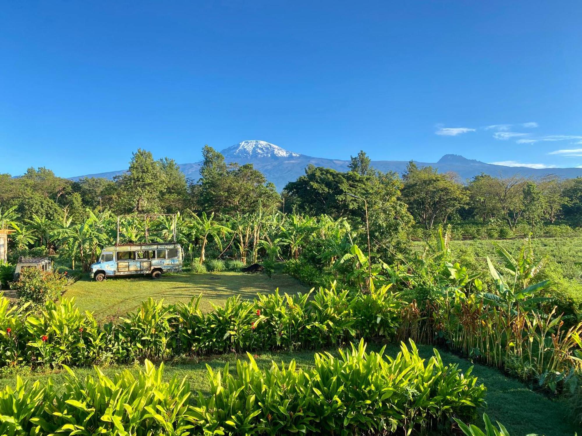 Mount Kilimanjaro 360 View Cottage Uru 外观 照片