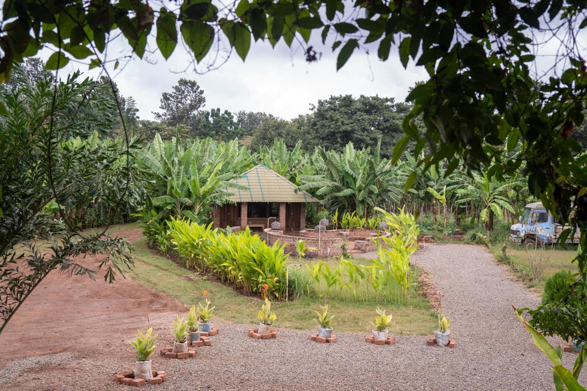 Mount Kilimanjaro 360 View Cottage Uru 外观 照片