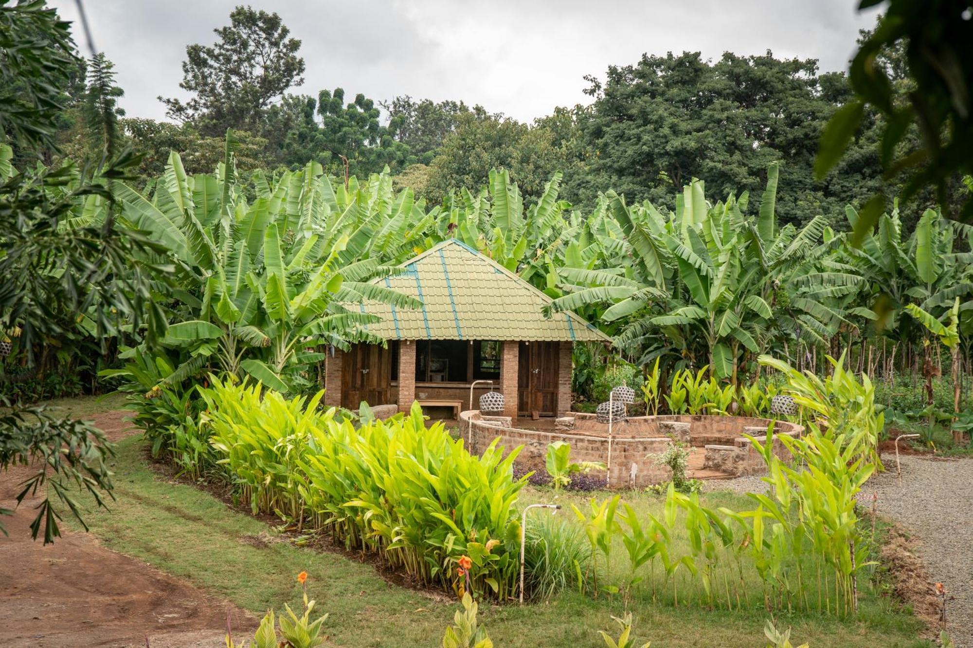 Mount Kilimanjaro 360 View Cottage Uru 外观 照片