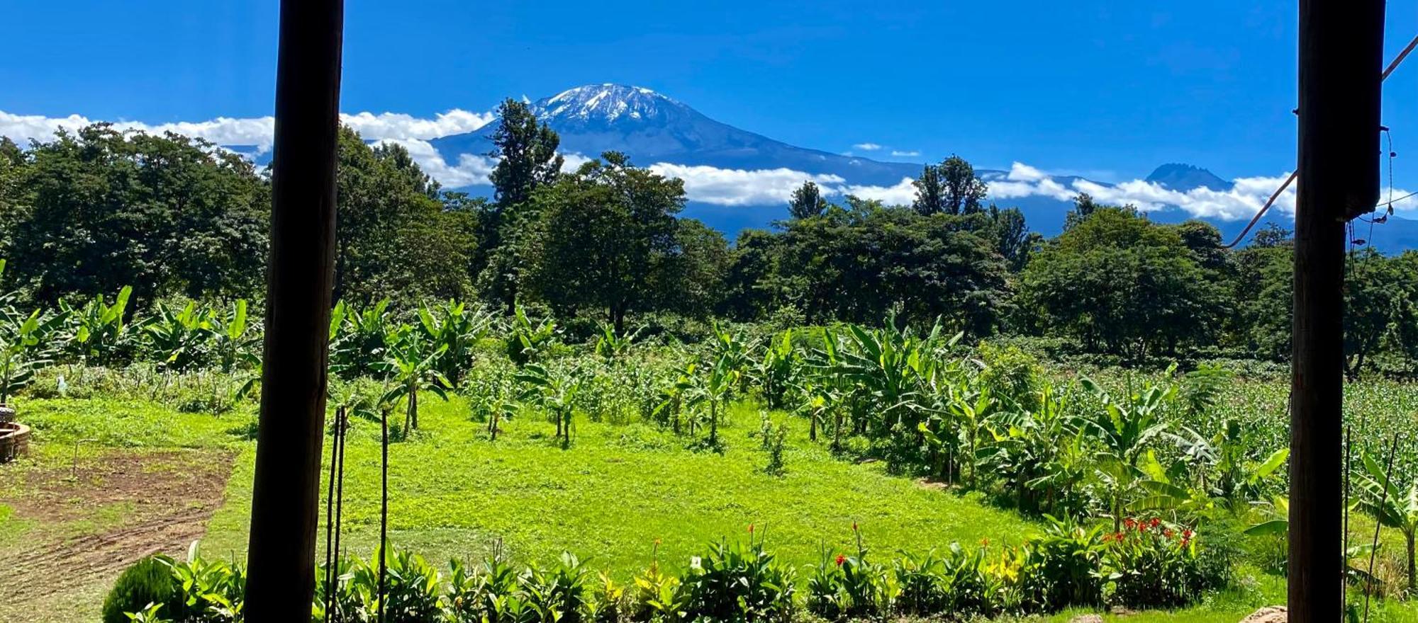 Mount Kilimanjaro 360 View Cottage Uru 外观 照片